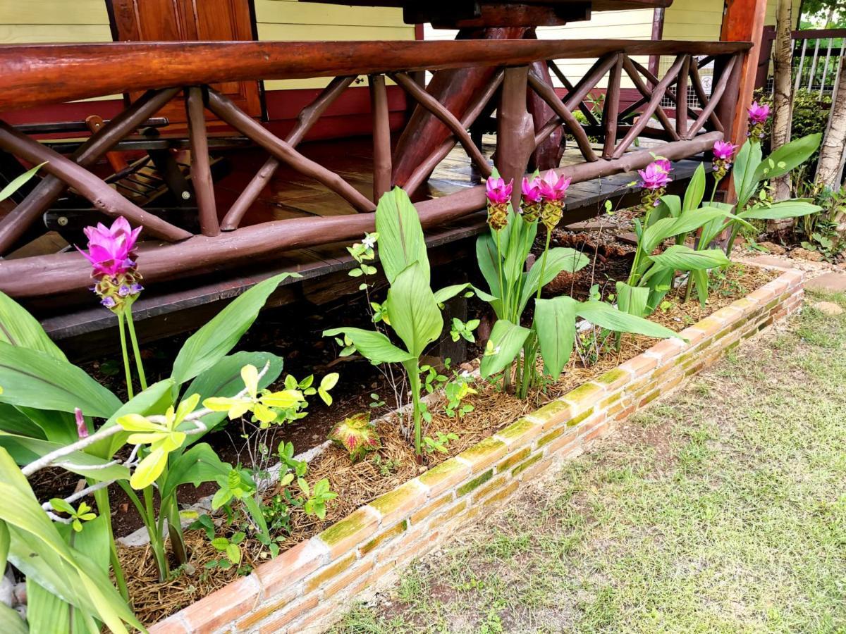 塞友Star View Garden别墅 外观 照片